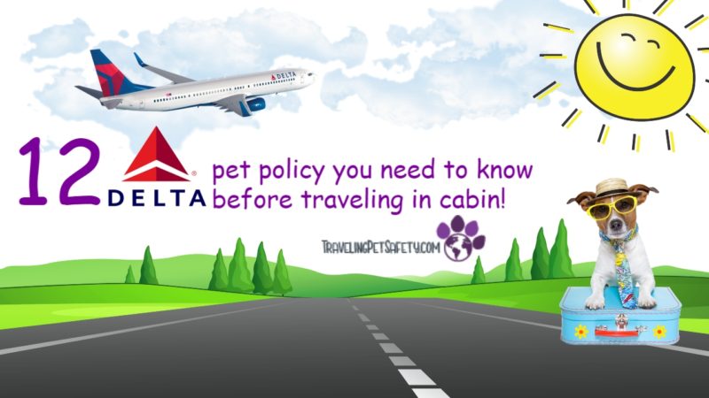 Delta Airlines' Traveling With Pets: Everything You Need to Know