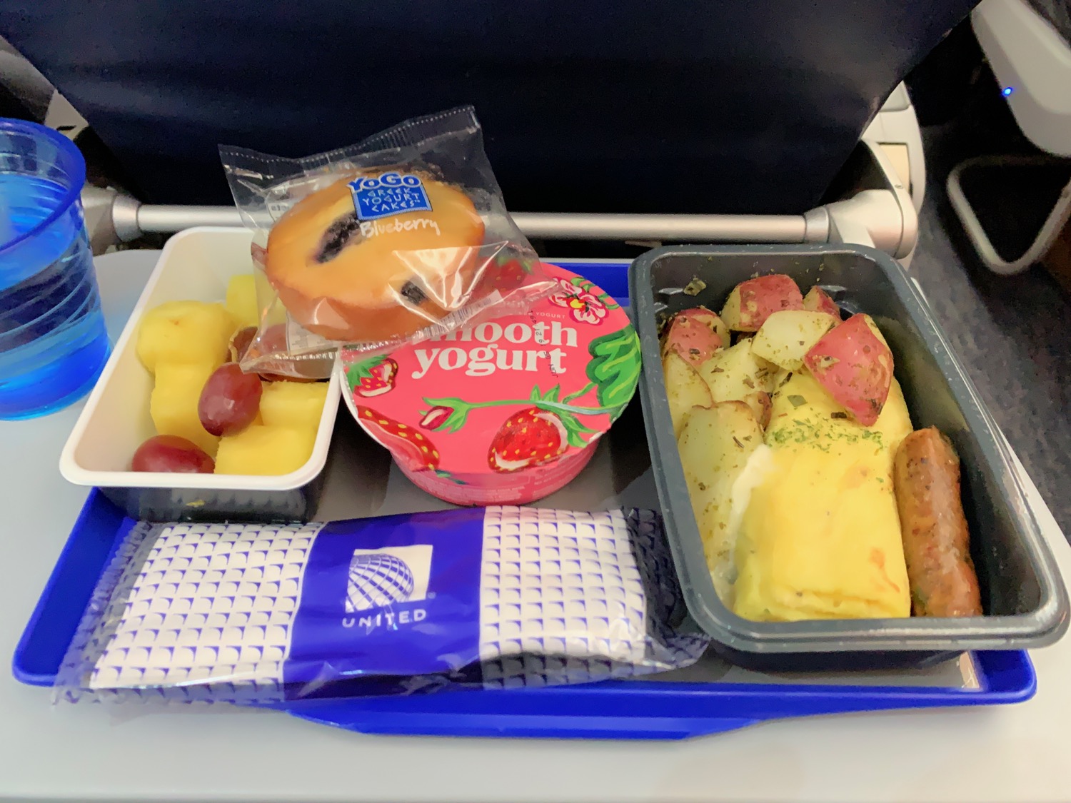 Can You Bring Your Own Food on United Airlines?