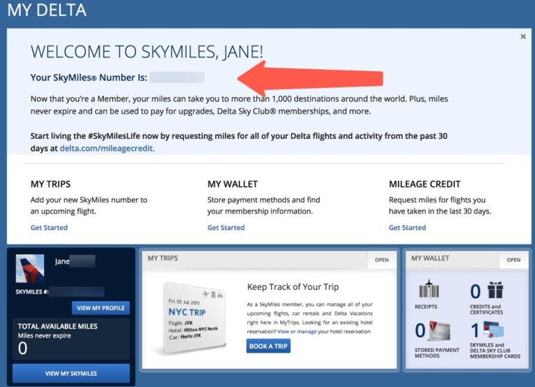 How To Sign Up For Delta Airlines Skymiles?