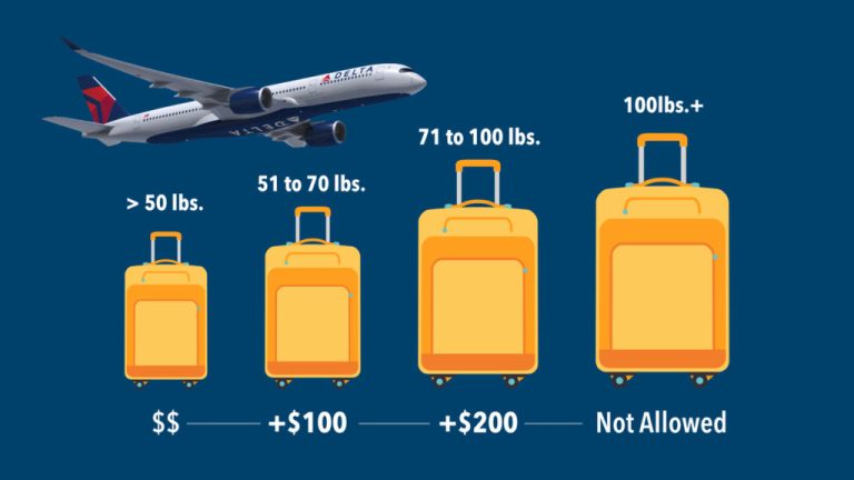 How Much Luggage Can You Take On Delta Airlines?