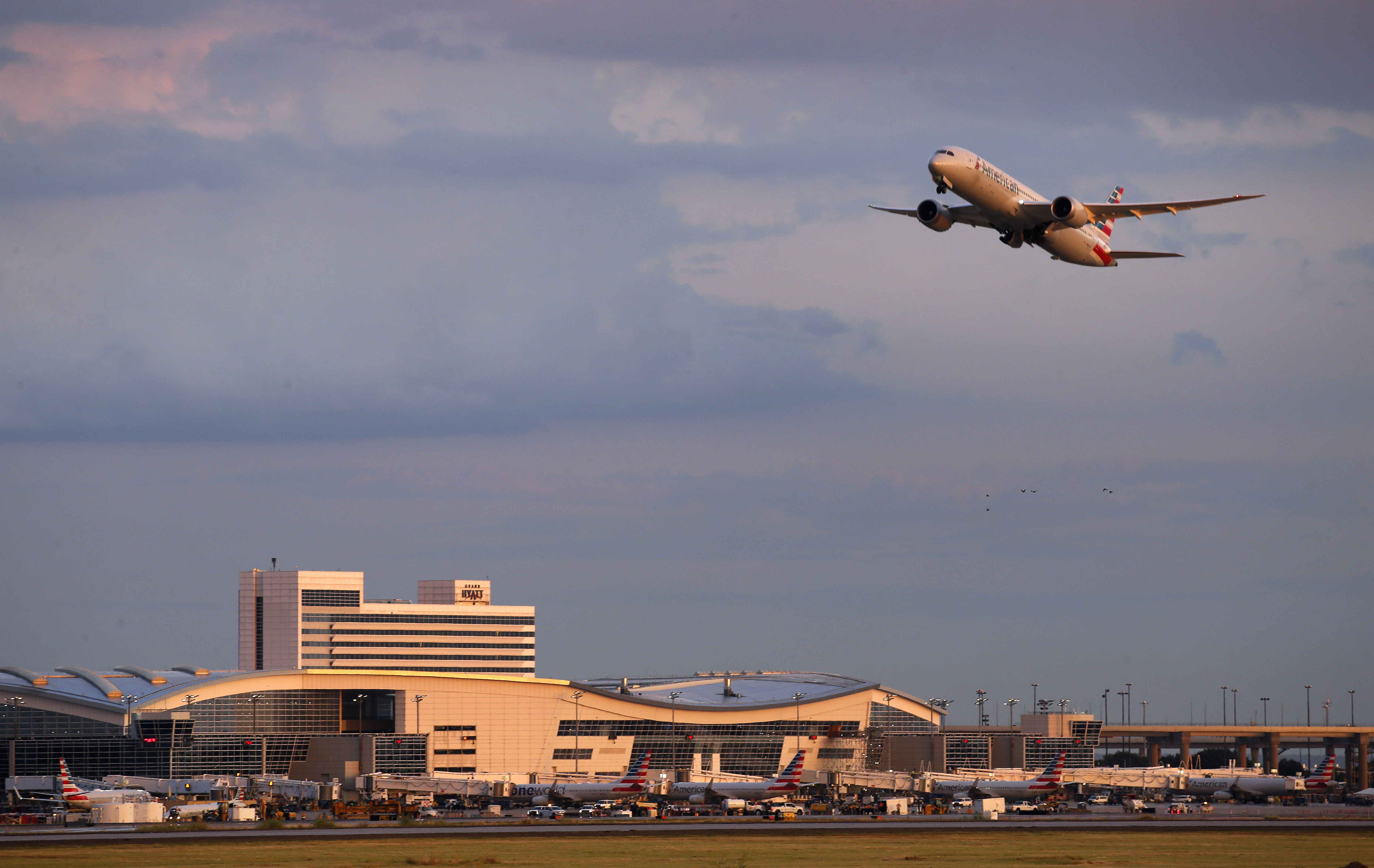 Does American Airlines Fly to Dallas?