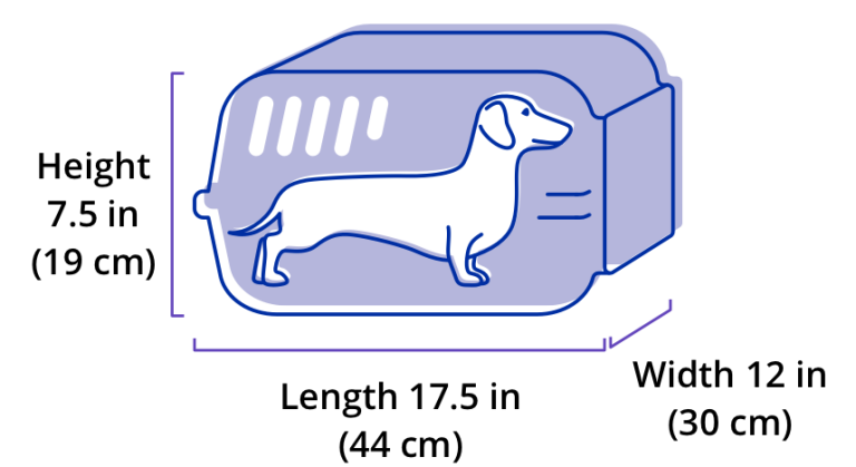 How To Fly A Dog On United Airlines?