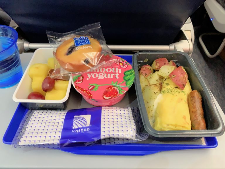 Can You Bring Your Own Food On United Airlines?