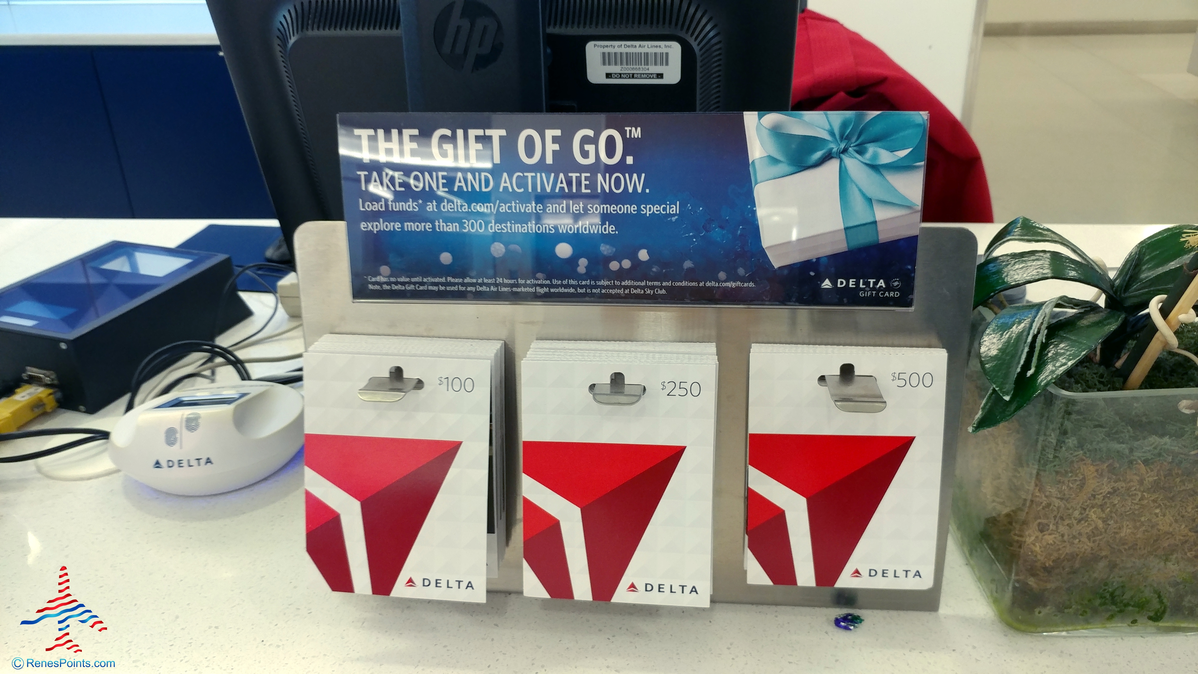 Can You Use Delta Gift Cards on Partner Airlines?