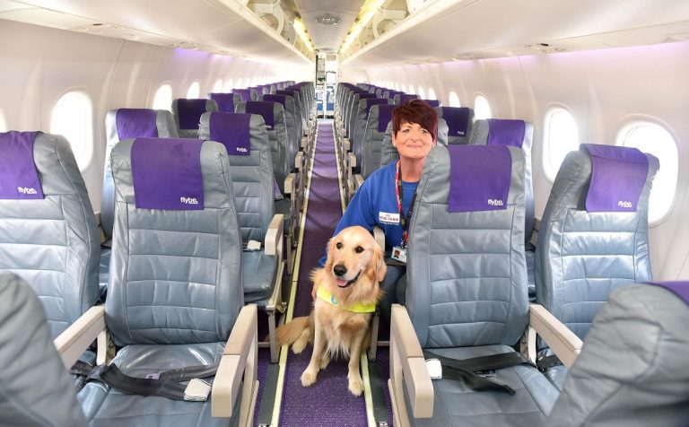 Can I Fly With My Dog On Delta Airlines?