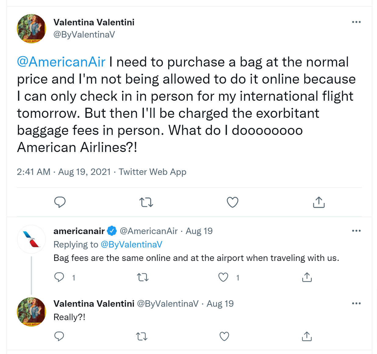 How to Add a Checked Bag on American Airlines?