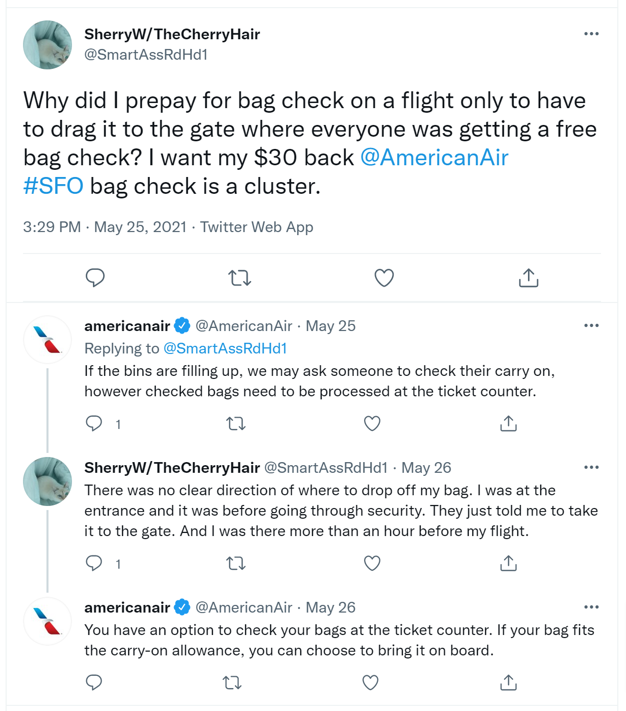 How to Add Baggage to American Airlines Flight?